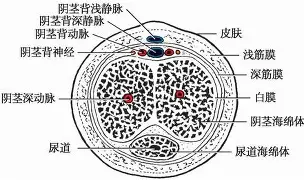 德布劳内完整赛程请查收球迷热议(莫德里奇和德布劳内谁是世界第一中场)|VG捕鱼官网